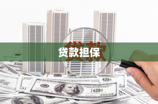 顺庆贷款担保