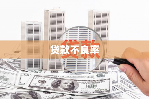 顺庆贷款不良率