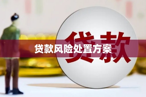 顺庆贷款风险处置方案