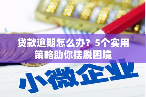 顺庆贷款逾期怎么办？5个实用策略助你摆脱困境