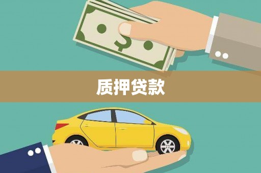 顺庆质押贷款
