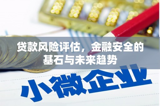 顺庆贷款风险评估，金融安全的基石与未来趋势