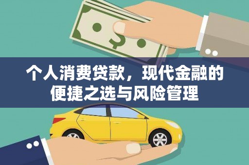顺庆个人消费贷款，现代金融的便捷之选与风险管理