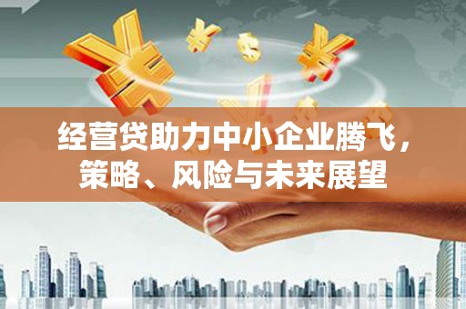 顺庆经营贷助力中小企业腾飞，策略、风险与未来展望