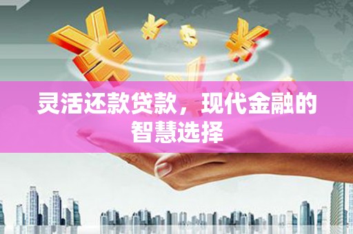 顺庆灵活还款贷款，现代金融的智慧选择