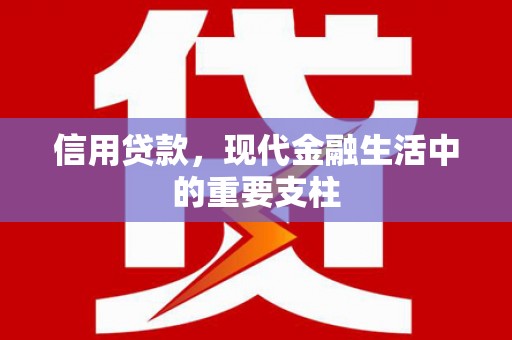 顺庆信用贷款，现代金融生活中的重要支柱