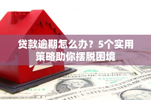 顺庆贷款逾期怎么办？5个实用策略助你摆脱困境