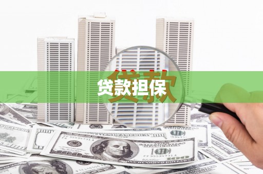 顺庆贷款担保