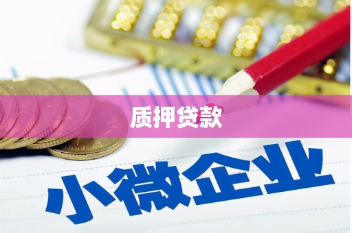 顺庆质押贷款