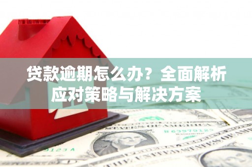 顺庆贷款逾期怎么办？全面解析应对策略与解决方案