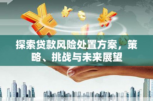 顺庆探索贷款风险处置方案，策略、挑战与未来展望