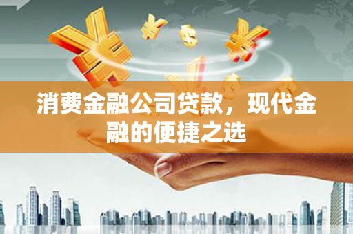 顺庆消费金融公司贷款，现代金融的便捷之选