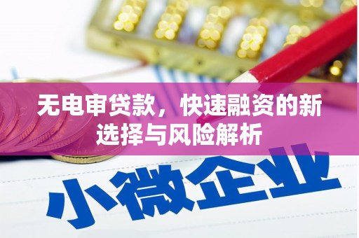 顺庆无电审贷款，快速融资的新选择与风险解析