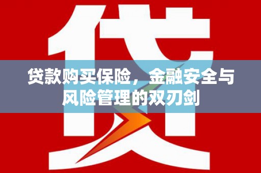 顺庆贷款购买保险，金融安全与风险管理的双刃剑