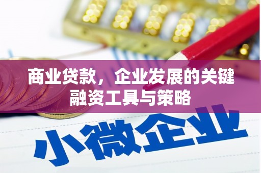 顺庆商业贷款，企业发展的关键融资工具与策略