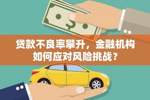 顺庆贷款不良率攀升，金融机构如何应对风险挑战？