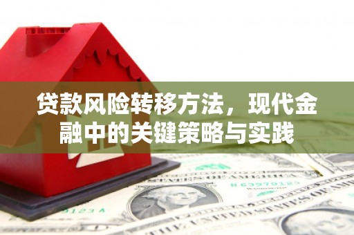顺庆贷款风险转移方法，现代金融中的关键策略与实践