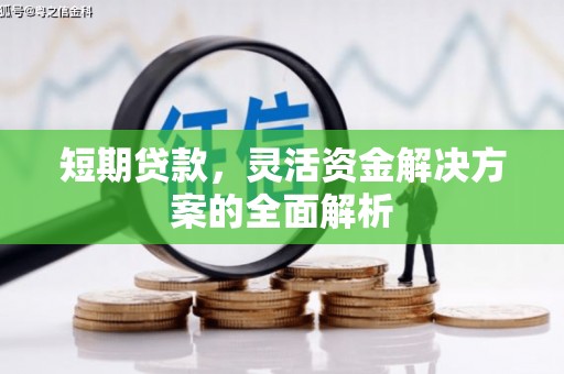 顺庆短期贷款，灵活资金解决方案的全面解析