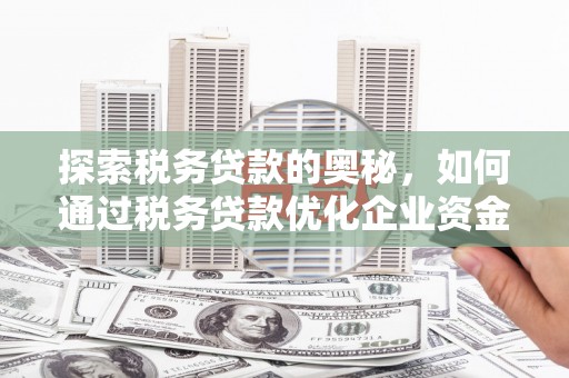 顺庆探索税务贷款的奥秘，如何通过税务贷款优化企业资金流
