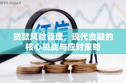 顺庆贷款风险管理，现代金融的核心挑战与应对策略