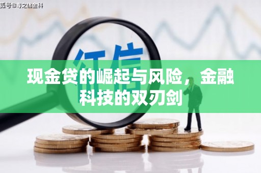 顺庆现金贷的崛起与风险，金融科技的双刃剑
