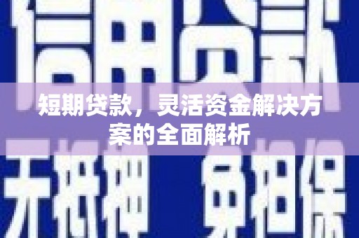 顺庆短期贷款，灵活资金解决方案的全面解析