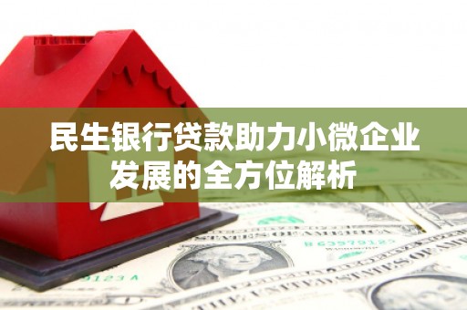 顺庆民生银行贷款助力小微企业发展的全方位解析