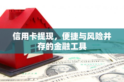 顺庆信用卡提现，便捷与风险并存的金融工具
