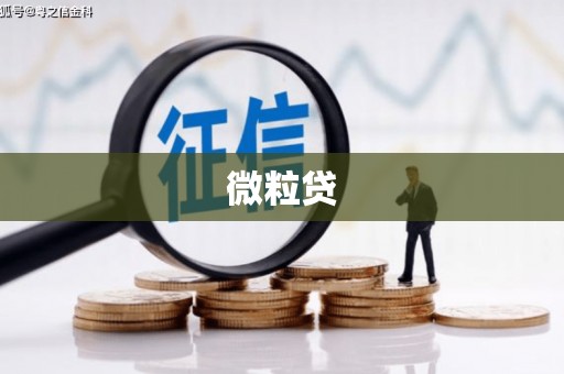 顺庆微粒贷