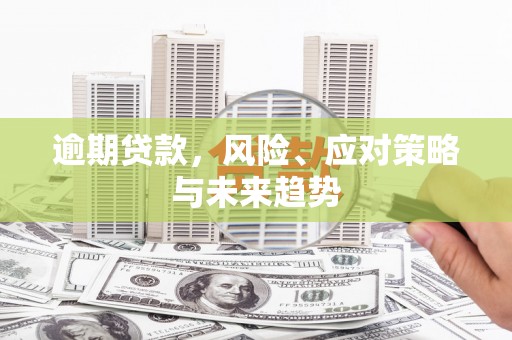 顺庆逾期贷款，风险、应对策略与未来趋势
