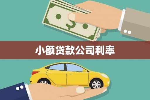 顺庆小额贷款公司利率