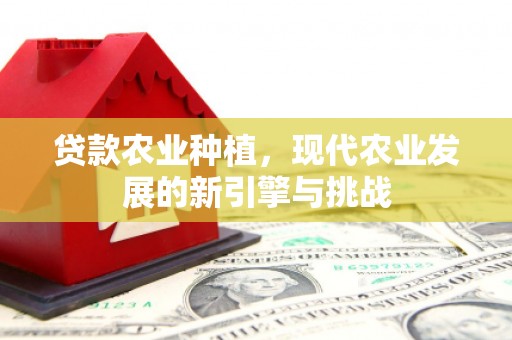 顺庆贷款农业种植，现代农业发展的新引擎与挑战