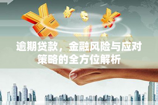 顺庆逾期贷款，金融风险与应对策略的全方位解析