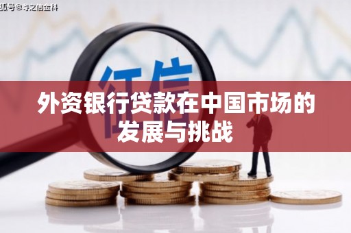 顺庆外资银行贷款在中国市场的发展与挑战