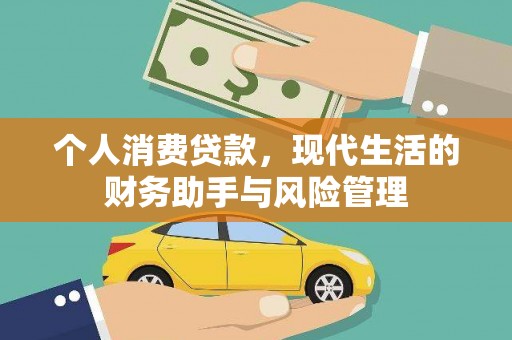 顺庆个人消费贷款，现代生活的财务助手与风险管理