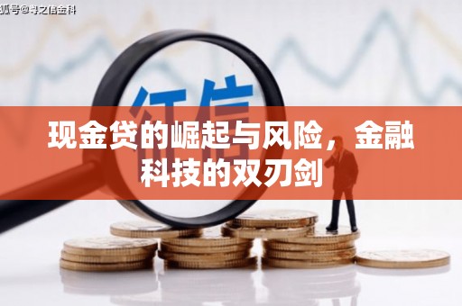 顺庆现金贷的崛起与风险，金融科技的双刃剑
