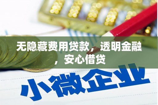 顺庆无隐藏费用贷款，透明金融，安心借贷