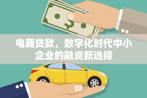 顺庆电商贷款，数字化时代中小企业的融资新选择
