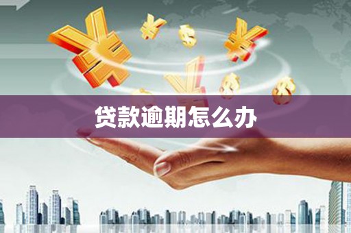 顺庆贷款逾期怎么办