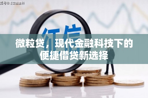 顺庆微粒贷，现代金融科技下的便捷借贷新选择