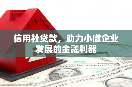 顺庆信用社贷款，助力小微企业发展的金融利器