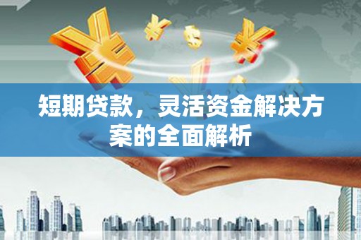 顺庆短期贷款，灵活资金解决方案的全面解析