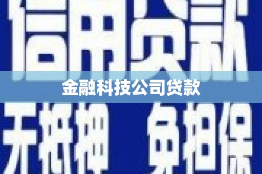 顺庆金融科技公司贷款