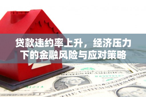 顺庆贷款违约率上升，经济压力下的金融风险与应对策略