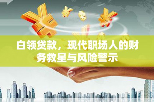顺庆白领贷款，现代职场人的财务救星与风险警示
