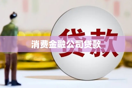 顺庆消费金融公司贷款