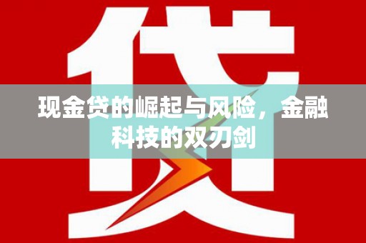 顺庆现金贷的崛起与风险，金融科技的双刃剑