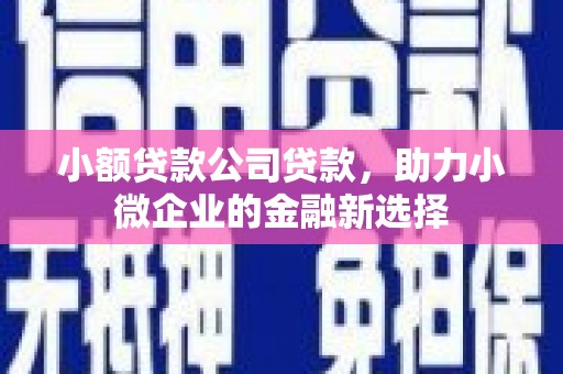 顺庆小额贷款公司贷款，助力小微企业的金融新选择