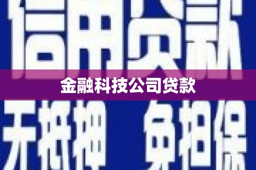 顺庆金融科技公司贷款
