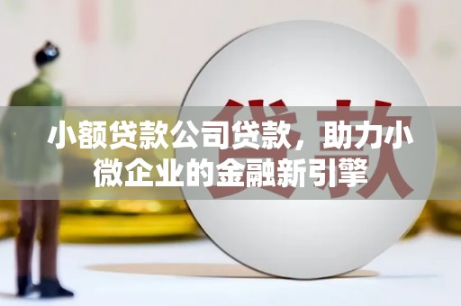 顺庆小额贷款公司贷款，助力小微企业的金融新引擎